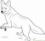 Coyote Coloring Running Pages Easy Drawing Coloringpages101 Getdrawings Online sketch template