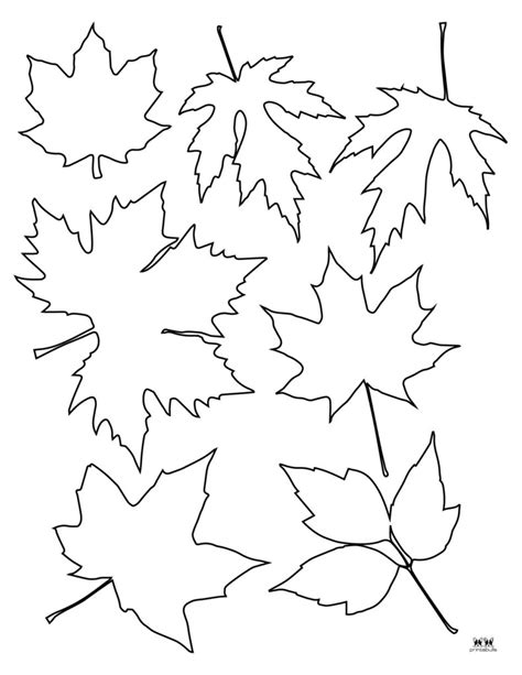 printable leaves coloring pages multiple  leaves