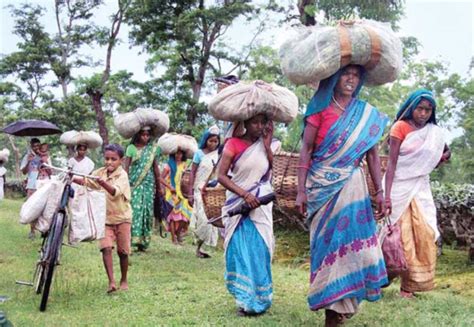 How Farm Laws Constitute An Attack On Adivasis Newsclick