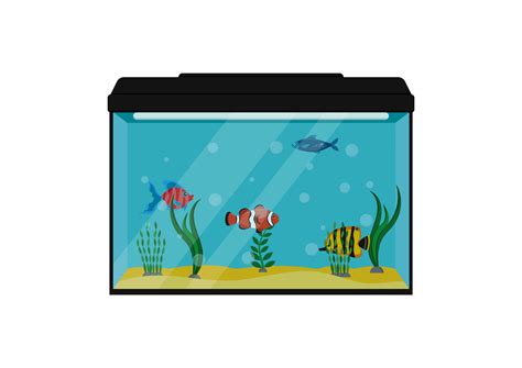 fishes  aquarium clipart vector illustration fish tank isolated