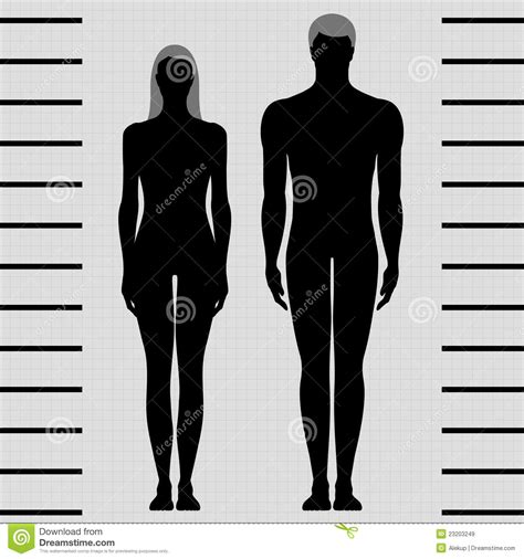 male and female body templates stock vector illustration