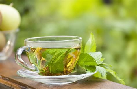 What Are The Health Benefits Of Mint Tea Livestrong