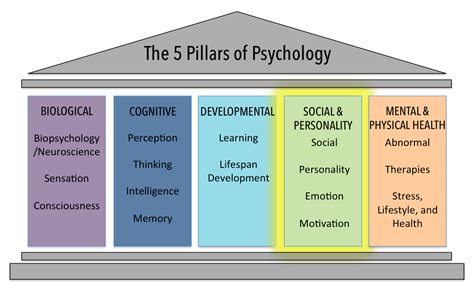 social  personality psychology domain introduction  psychology