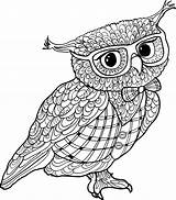 Owls Verbnow sketch template