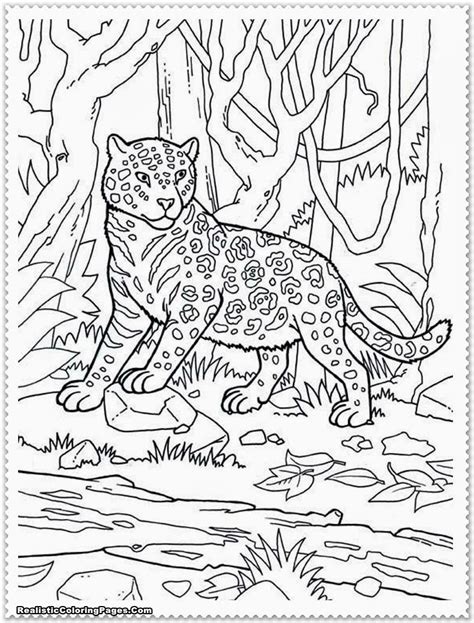 realistic jungle animal coloring pages realistic coloring pages thebooks