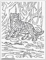 Jungle Coloring Pages Animal Realistic Animals Scene Color Printable Kids Clip Safari Print Library Clipart Getcolorings Children Popular sketch template