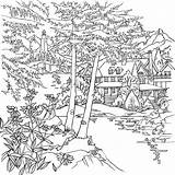 Erwachsene Malvorlagen Coloriage Debbie Macomber Foresta Landschaften Paesaggio Imprimer Adulte Menggambar Kelas Isola Colorir Giardini Desenhos sketch template