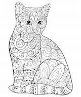Coloring Cats Kids Cat Pages Simple Cute Adults Zentangle Patterns Color Printable Animals Zen sketch template