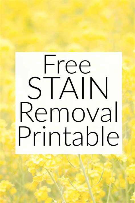 stain removal printable tips  tricks cut  grime
