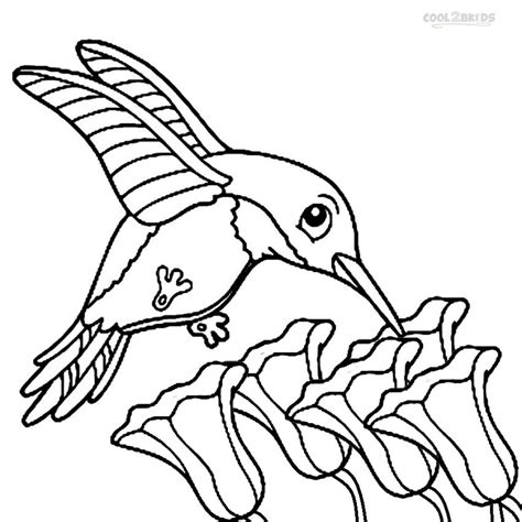 printable hummingbird coloring pages