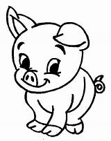 Coloring Pig Animal Pages Cute Printable Kids Animals Baby Sheets Colouring Drawing sketch template