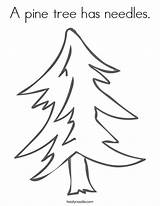Pine Coloring Tree Alabama Chicka Needles Has Longleaf Leaf Long Drawing Favorites Login Add Twistynoodle Built California Usa Getdrawings Noodle sketch template