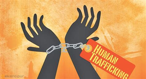 domestic violence and human trafficking hawc