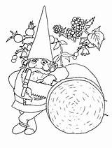 Gnome Coloring Pages Printable Gnomes Kids Wonder Fairy sketch template