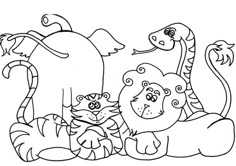view  animal coloring pages pictures colorist
