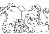 Coloring Pages Animal Printable African sketch template