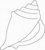Seashell Seashells Muschel Conch Bing Colouring Zeichnen Vorlagen Muscheln Twisty Southwestdanceacademy Ausmalen sketch template