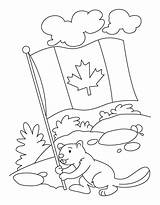 Fete Beaver Vlag Bever Vast Houdt Coloringhome Celebrating Leukekleurplaten Kleurplaten Favorite Kleur sketch template