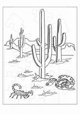 Animals Sonoran sketch template