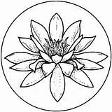 Coloring Lily Water Pages Super Clipartbest Clipart Flower Printable sketch template