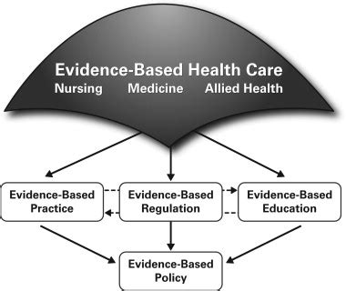 evidence based nursing regulation  challenge  regulators journal