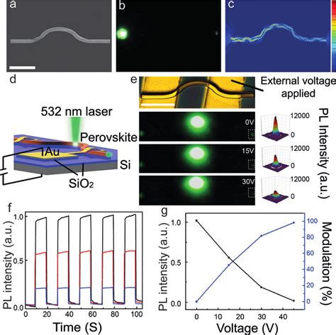 electro optical modulator devices   arc waveguide  sem image  scientific