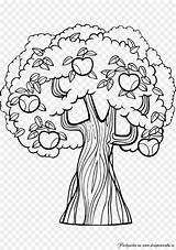 Orchard Coloring Pages Apple Getcolorings Clip sketch template