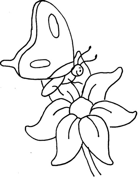 coloring pages  butterflies  flowers coloring home