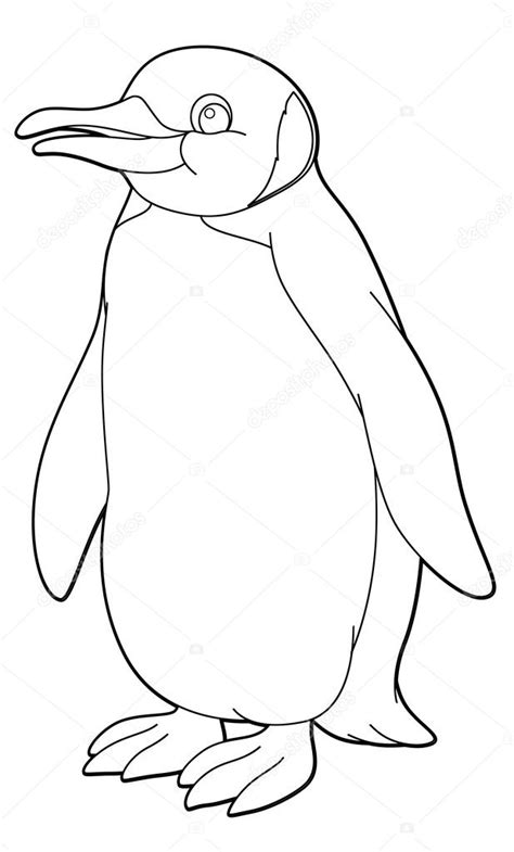 penguin arctic animal coloring page stock photo  agaes
