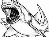 Jaws Coloring Pages Drawing sketch template