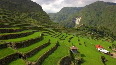 A Guide To The Philippine Rice Terraces