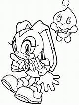 Sonic Hedgehog Coloring Pages Printables Cream Rabbit Printable Colouring Color Library Clipart Print Advance Cartoon Popular sketch template