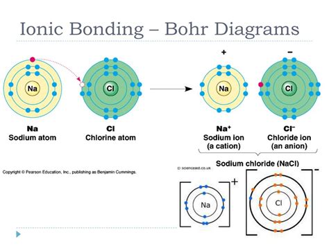 bohr diagram for sodium ion diagram media