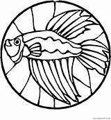 Coloring Glass Stained Fish Pages Coloring4free Betta Related Posts sketch template