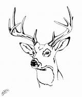 Deer Skull Pages Template Coloring sketch template
