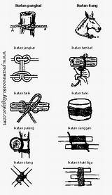 Simpul Pramuka Macam Tali Temali Nih Jerat sketch template
