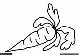 Wortel Mewarnai Putih Hitam Bayam Sayur Sayuran Untuk Paud Terbaru Diwarnai Raskraska sketch template