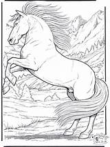 Coloring Horses Pages Print Kids sketch template