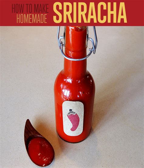19 Best Homemade Hot Sauce Recipes