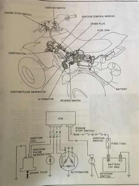 honda trxfw wiring diagram