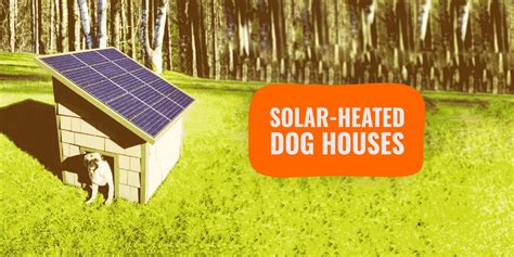 solar heated dog houses buying guide benefits types