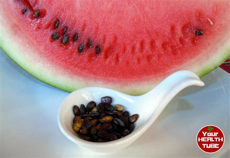reasons  eat watermelon seeds  health tube