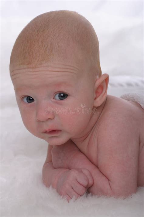 baby  white stock image image  adoption born soft