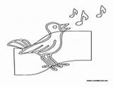 Bird Singing Coloring Birds sketch template