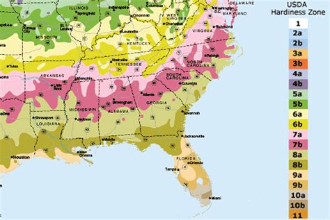 Usda Hardiness Zone Finder