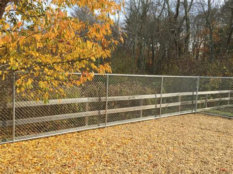 galvanized chain link dog reliable fence