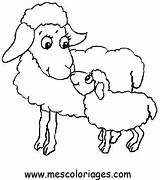 Colorat Oi Oveja Ovejas Ovelha Imagini Mouton Sheep Animale Planse Ovelhas Coloring Pascoa Ovelhinhas Dibujos Oaie Miel Desene Moutons Fise sketch template