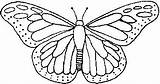 Embroidery Butterfly Outline sketch template