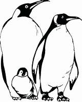 Penguin Coloring Pages Emperor Printable Clipart Cartoon Baby Kids Happy Feet Family Penguins Colouring Cliparts Color Those Print Getcolorings Clipartbest sketch template