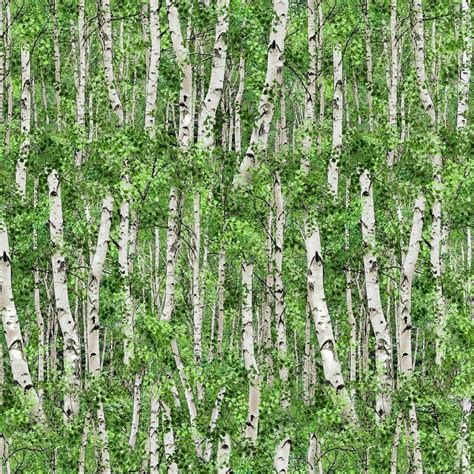 landscape medleybirch trees floral cotton fabric  elizabeths studio
